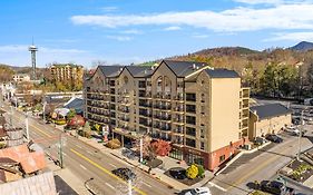 Black Bear Inn & Suites